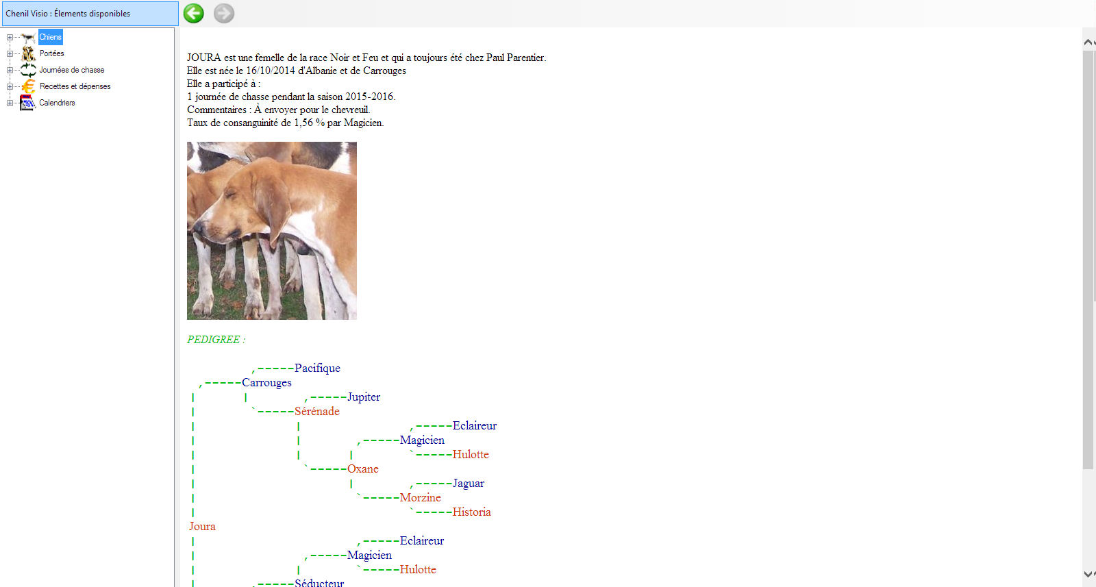 Éléments disponibles