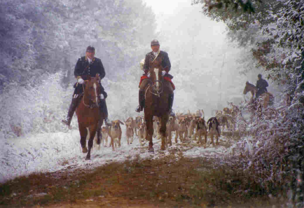 quipage des Bois-Verts et Rallye Malpaire en fort de Grasla, le dcoupl