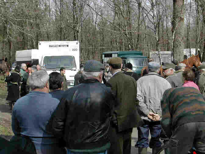 Rendez-vous Rallye Vendéen   Graslas