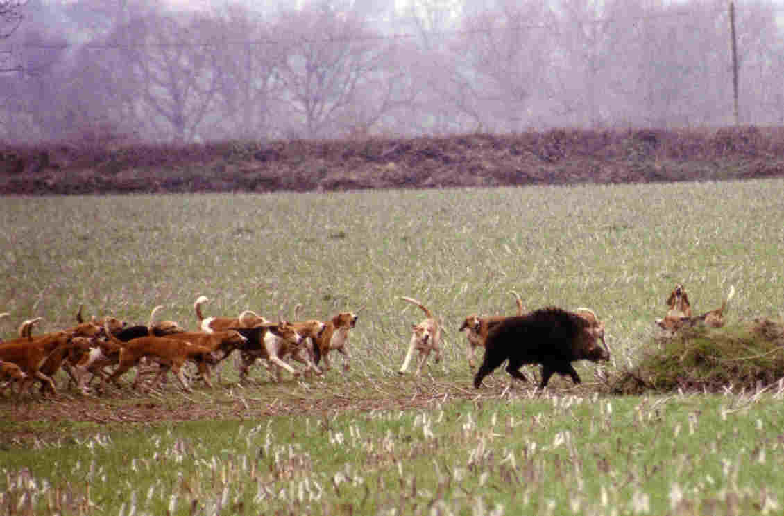 Ferme roulant au Bois de la Garde