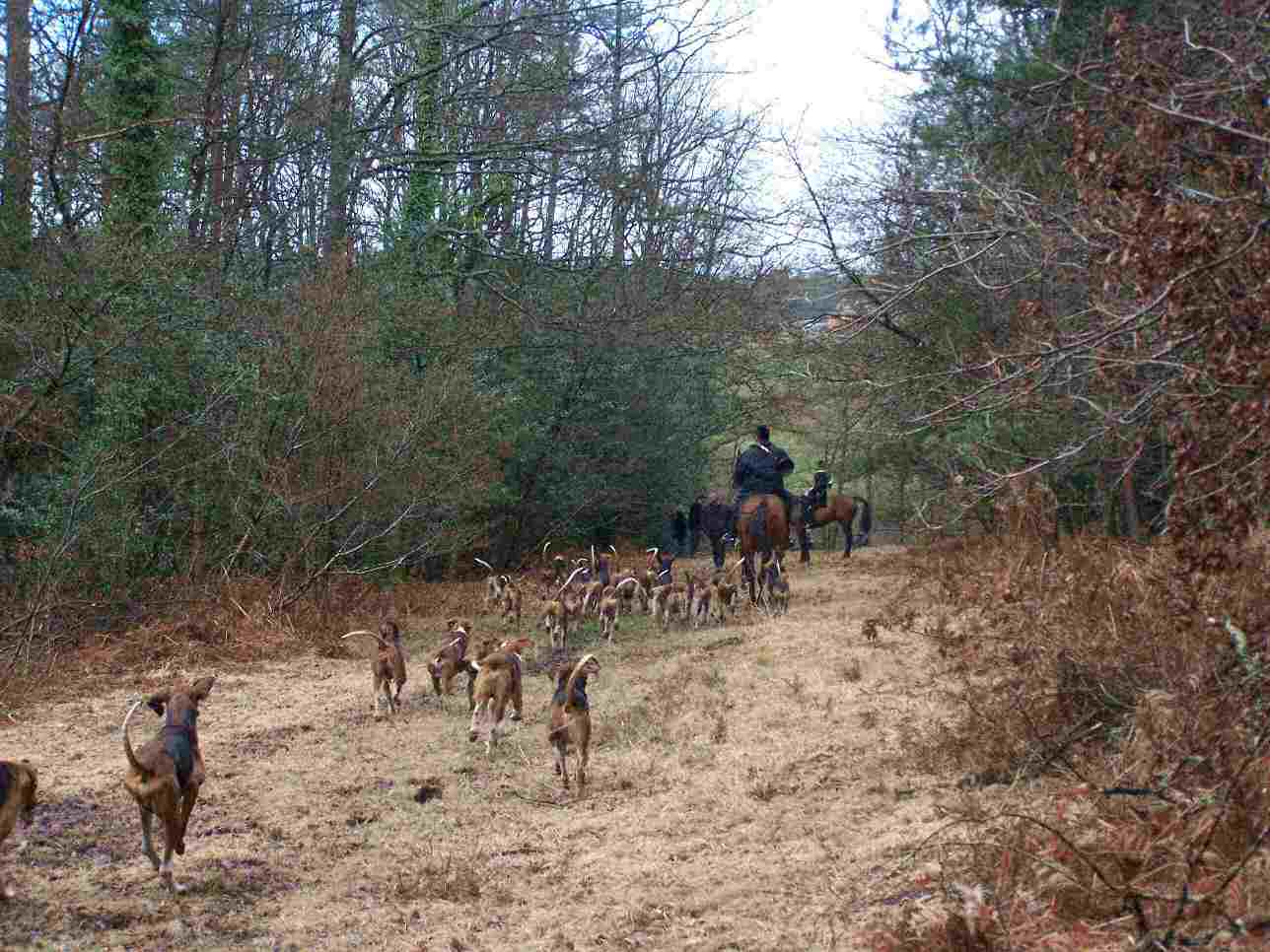 Rallye Saint Louis en forêt de Chinon