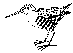Râle